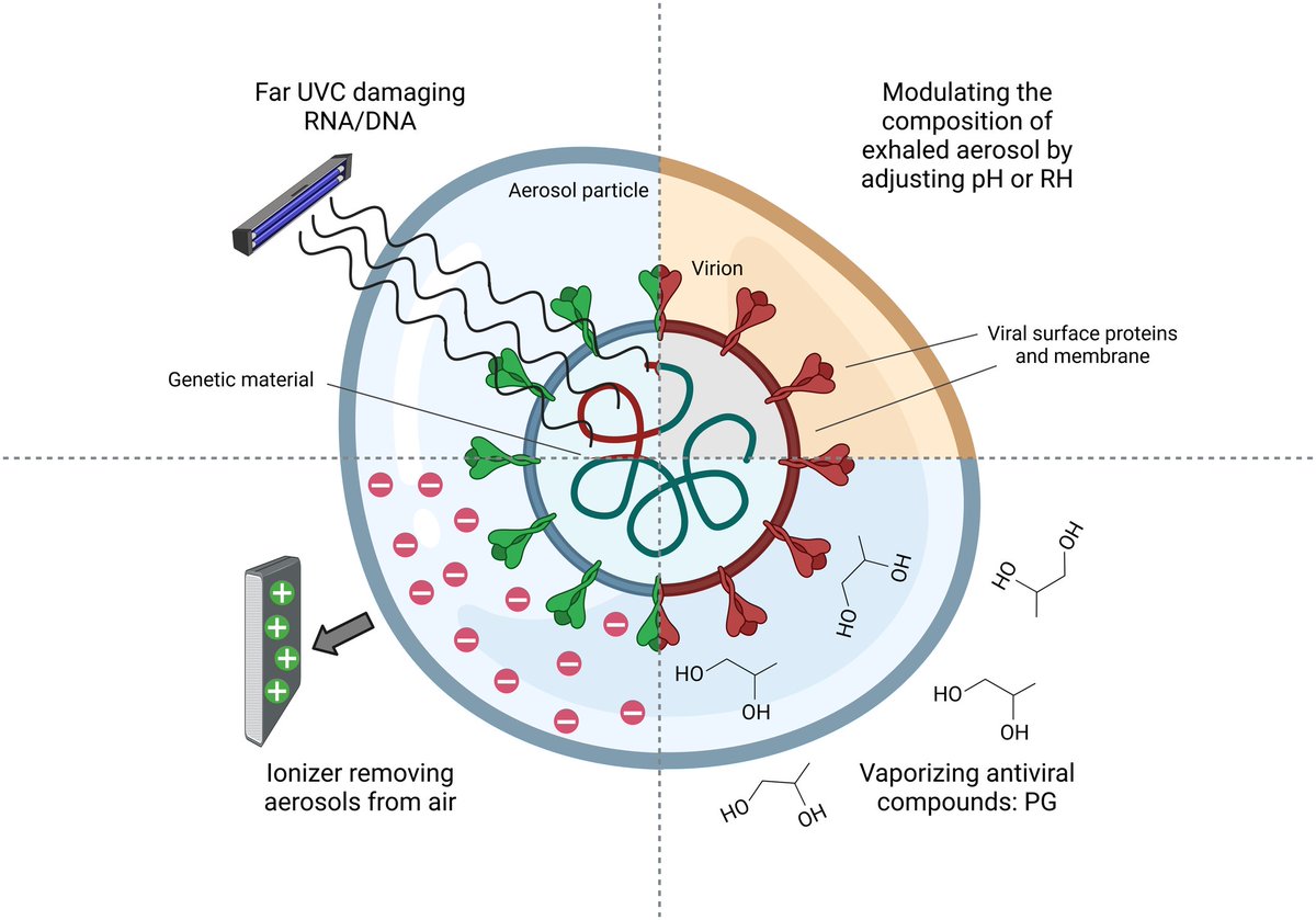 UZH Medical Virology (@uzh_virology) on Twitter photo Check out <a href="/IrinaGlas/">Irina Glas</a> and Shannon David's insights in <a href="/EmboMolMed/">EMBO Mol. Medicine</a>'s News & Views. They discuss existing strategies for reducing aerosol transmission and review Styles et al's study on using propylene glycol to inactivate respiratory viruses.
embopress.org/doi/full/10.15… Check out <a href="/IrinaGlas/">Irina Glas</a> and Shannon David's insights in <a href="/EmboMolMed/">EMBO Mol. Medicine</a>'s News & Views. They discuss existing strategies for reducing aerosol transmission and review Styles et al's study on using propylene glycol to inactivate respiratory viruses.
embopress.org/doi/full/10.15…