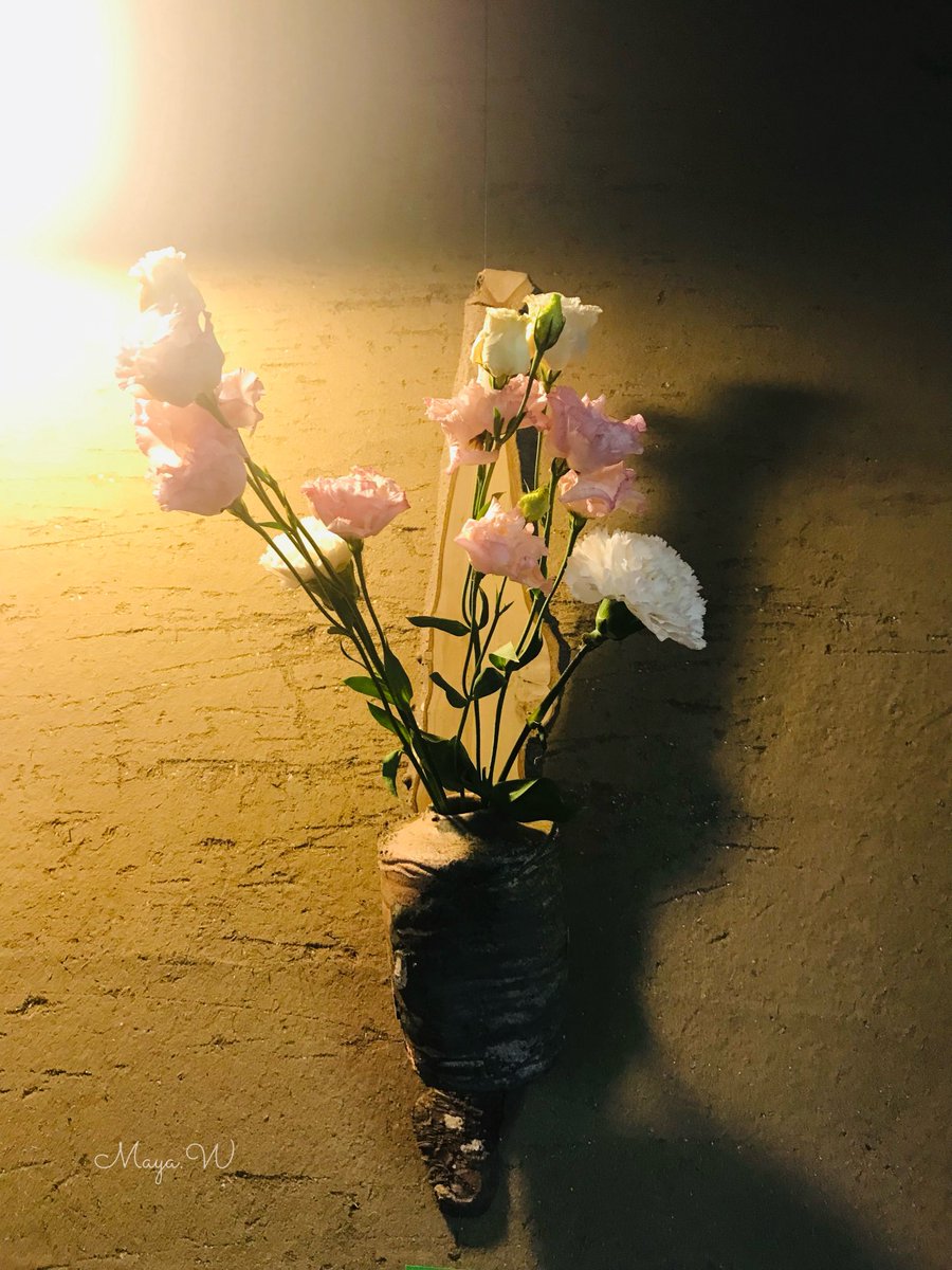 MayaW_S2_'s tweet photo. 懐中電灯で花を灯す
#makewarm
#flower https://t.co/TwlgFooIfG