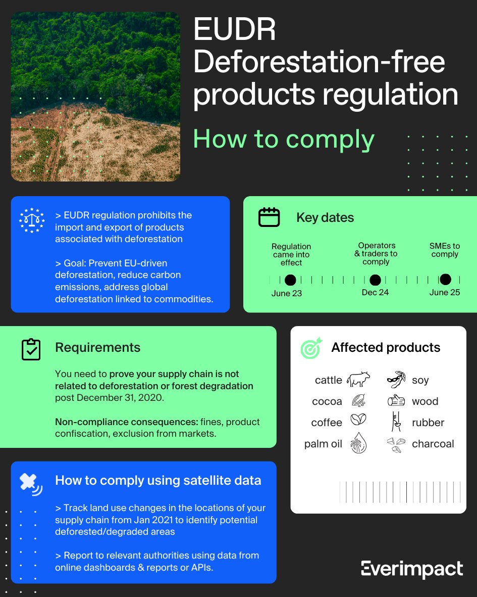 Everimpact tweet media