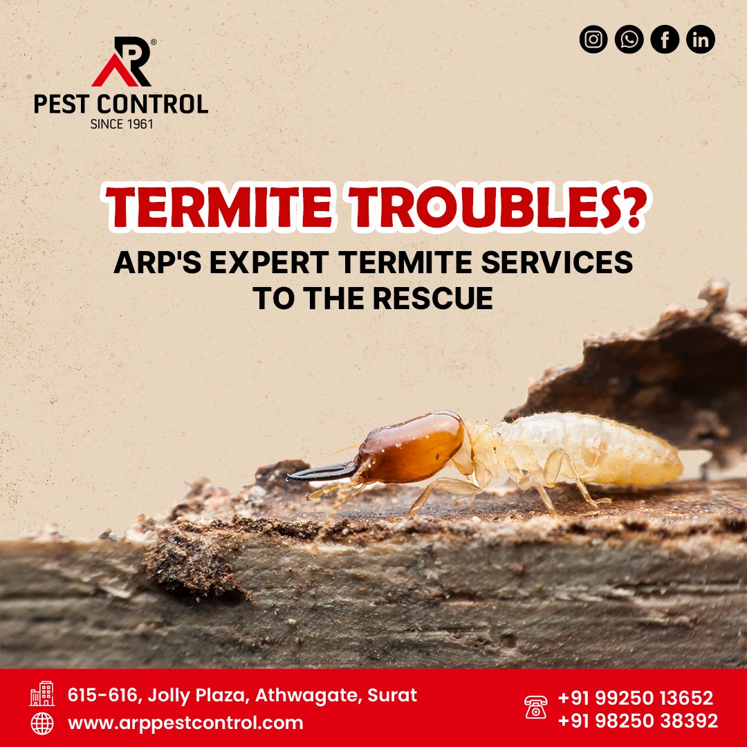 ARP_pestcontrol's tweet photo. If you're in Surat and suspect an infestation, trust ARP Pest Control for reliable termite solutions.

99250 13652 | 98250 38392
 #termitecontrol #pestcontrol #homeprotection #termitetreatment #healthyhomes #protectyourspace #suratcity #safehome #pestfreeliving #termiteinspection https://t.co/hYWopf9Xps