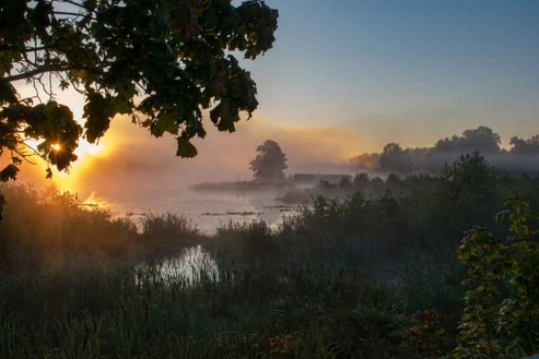 CharlsonEvaa's tweet photo. Everything in nature invites us constantly to be what we are. https://t.co/BsqPcQvLDf