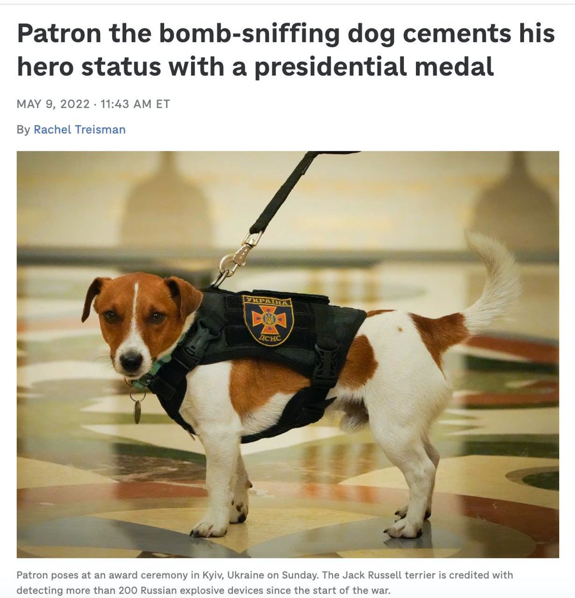 Patron has won many awards in Ukraine but the biggest one was a Presidential medal award from President <a href="/ZelenskyyUa/">Volodymyr Zelenskyy / Володимир Зеленський</a> and <a href="/JustinTrudeau/">Justin Trudeau</a> .

He has also met with <a href="/RishiSunak/">Rishi Sunak</a> and <a href="/SecBlinken/">Secretary Antony Blinken</a> and many other celebrities.

Patron is a hero we don't deserve but grateful that we have. 💪