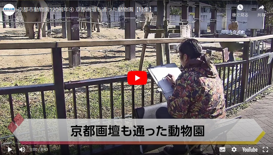 kyotoshidoubut1's tweet photo. お知らせ「京都市動物園120周年特集④　京都画壇も通った動物園」がご覧いただけます。
https://t.co/PicFowVrIN

#京都市動物園 #kyotocityzoo #120周年 #きょうとDays #特集  #第4回 #KBS京都 #京都画壇も通った動物園 #120thAnniversary #kyotodays #Feature #4th #KBSKyoto #Kyotoartworld https://t.co/JN0gukLgYh