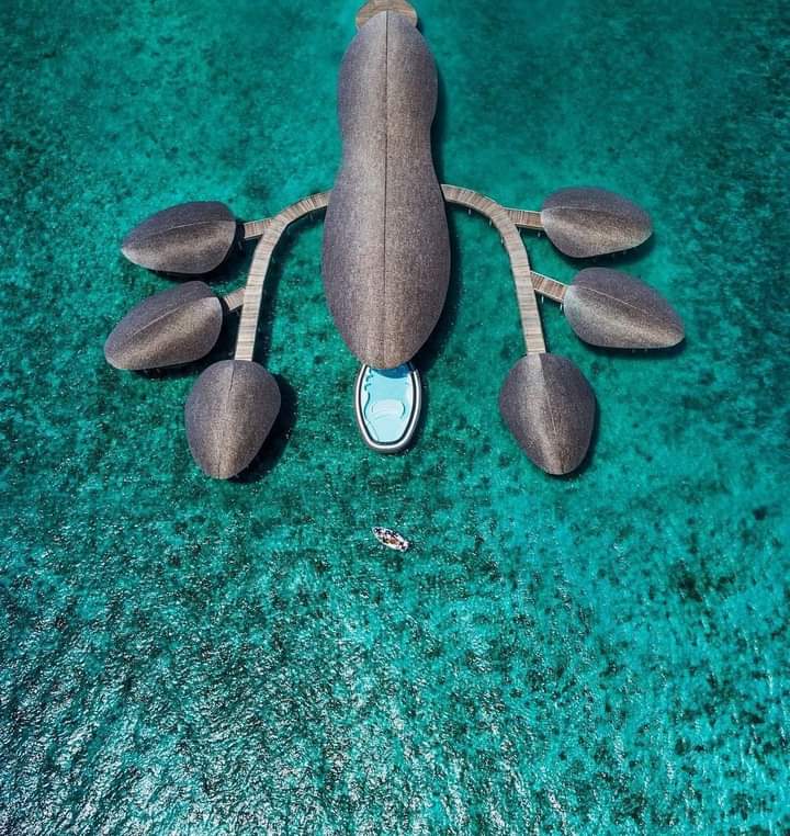 AlinajeebN's tweet photo. #ThisIsMaldives #uncomparable #Uncomparable #sunnysideoflife https://t.co/36bVmbDiya