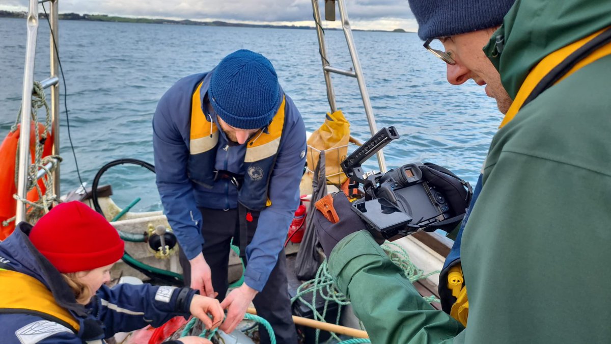 Swimming Head Productions tweet media