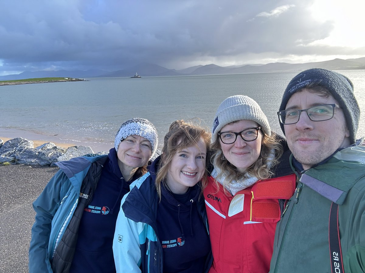 Swimming Head Productions tweet media