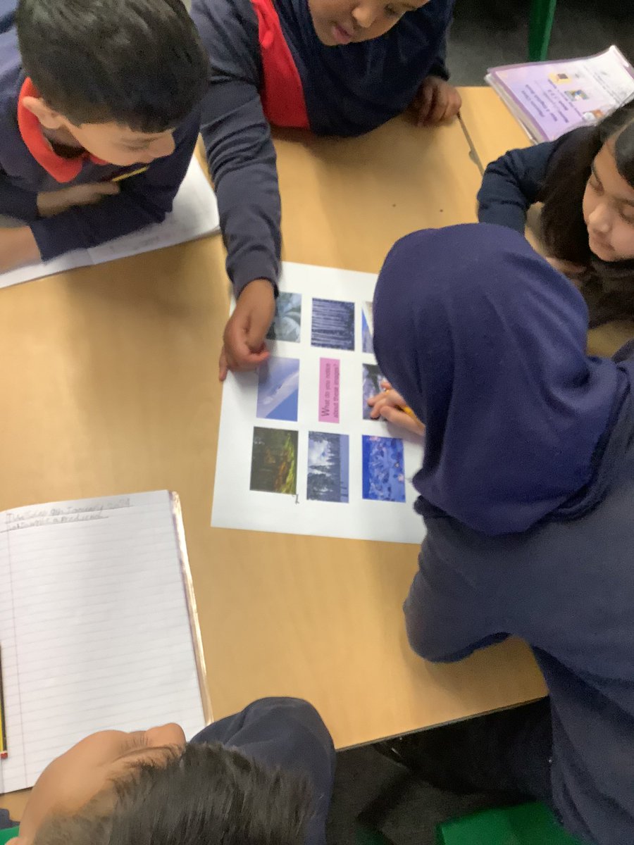 Halley Year 4 tweet media