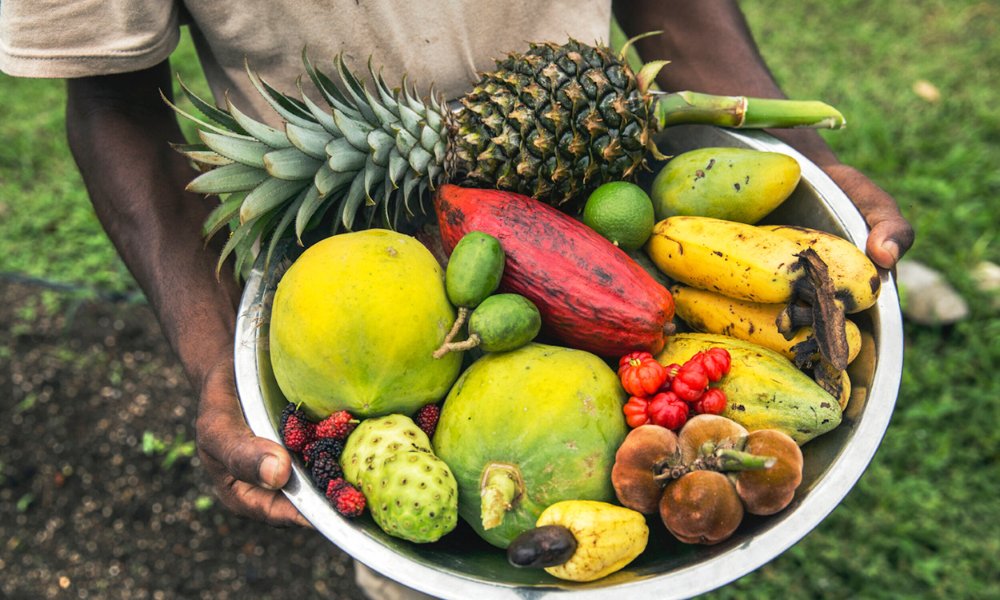 Learn more about CREST platinum sponsor Muy'Ono Farms' farming practices and discover how these practices ensure a continuous supply of fresh, organic produce while minimizing environmental impact and conserving resources.

loom.ly/hA8o8gY