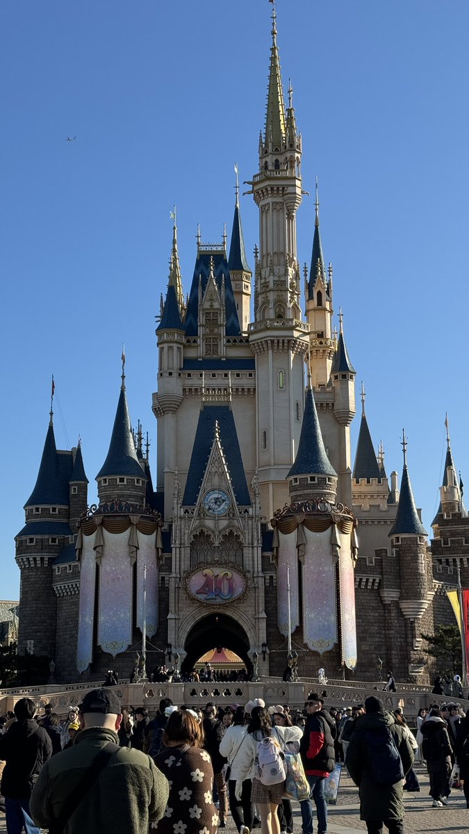 本日紹介するのは東京ディズニーランドです。現在8つのテーマポートがありそれぞれきちんとした舞台が決まっています。近年では新エリアがオープンしたり現在東京ディズニーランドの40周年のスペシャルイベントが開催されており、大変賑わっています。