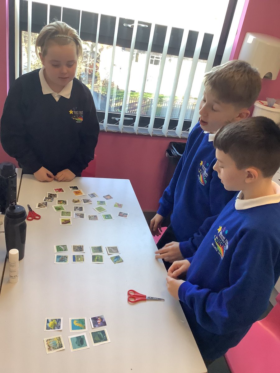 westheathprim's tweet photo. #WHPSClass13 were being taxonomists this afternoon and enjoyed classifying animals in different ways. https://t.co/exT0T6T476