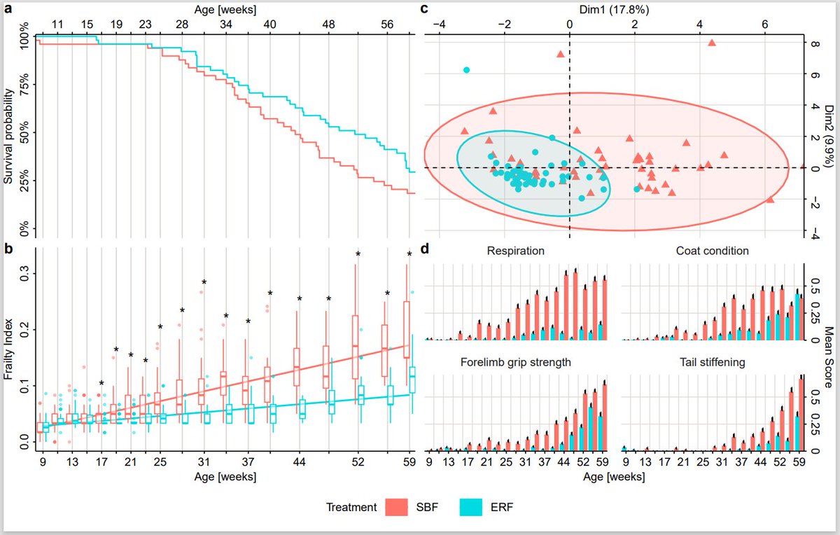 GeroScienceAGE's tweet photo. 📢New in GeroScience
Titan mice as a model to test interventions that attenuate frailty and increase longevity by Benedikt Gille et al.
https://t.co/xdFSYDlRIu
#Aging #mousemodels #navitoclax #dietaryintervention #frailtyindex @DocLarus
@impetusgrants https://t.co/zdoRlF9518