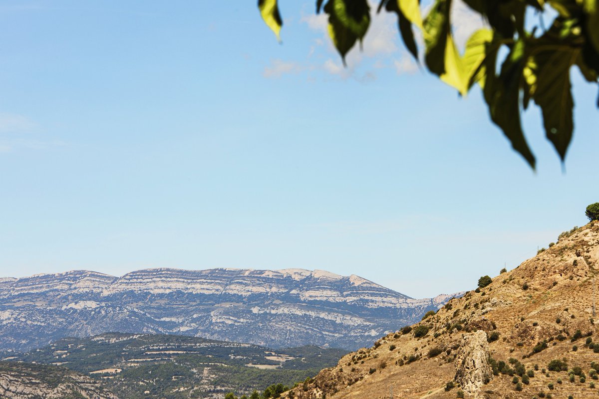 DO_CostersSegre's tweet photo. 🍁🏔️ Des de les espectaculars muntanyes fins les vinyes i boscos, el nostre territori és ric en paisatges increïbles. Avui destaquem la Serra del Montsec, a la província de Lleida @aralleida .
Gaudeix del que tenim a prop de casa! #turismedeproximitat #docostersdelsegre https://t.co/oUodJ8fJVj