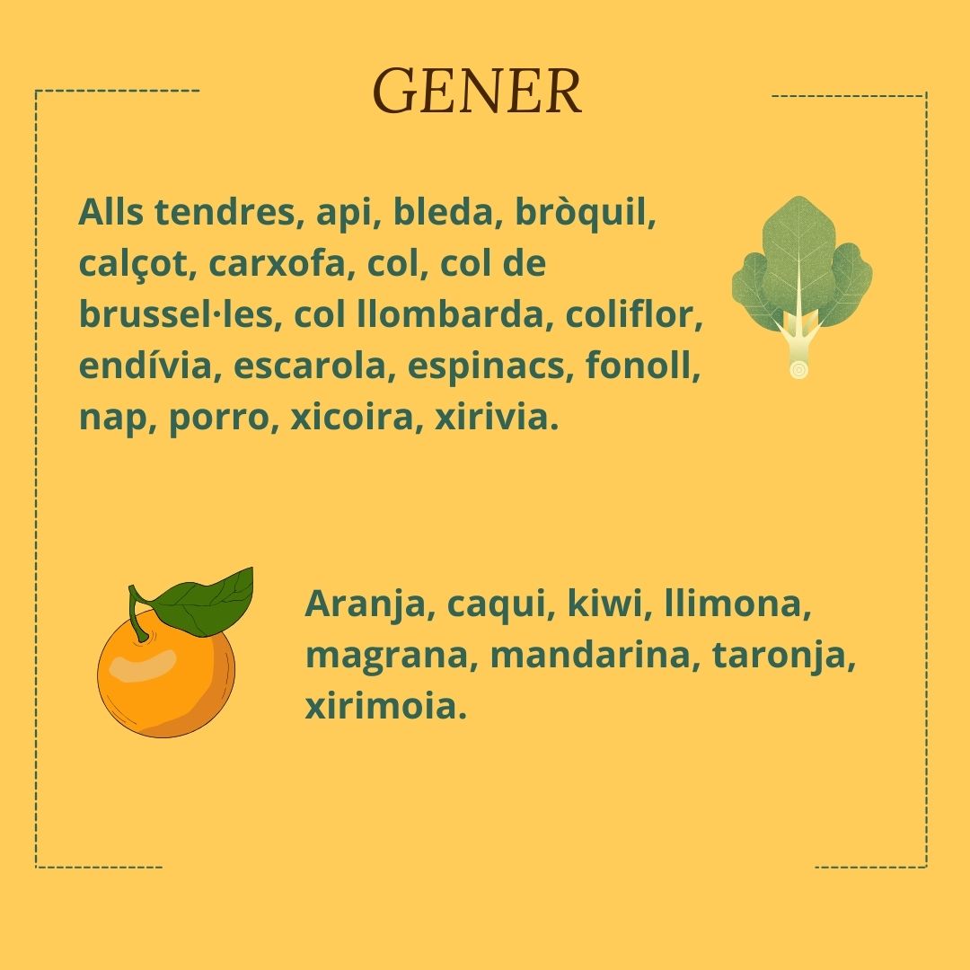 Oidà.cat tweet media