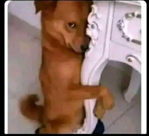 Mum :ebu ambia wageni 'C' for 
Me: snake