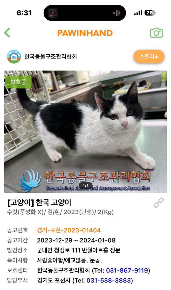 doona_and_minzy's tweet photo. 여러분!! 모두 주목! (또 옴..ㅎ)

살짝 멋스럽게 탄 6:4 가르마..

짙은 아이라인에 동그란 얼굴형. 그리고 앙 다문 조롱이떡 까지…

조롱이떡 감별사인 저의 눈에 딱 들어온 아이랍니다.. 제발 데려가서 sns 해줘요.. ( ´༎ຶД༎ຶ ) 

게다가 이게 끝이 아냐,

“사람 좋아함/ 애교 많음”

진짜 끝. https://t.co/6H8WNGOQld