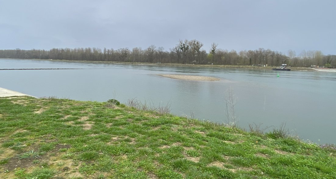 Mario_J_Franca's tweet photo. Interested in river geomorphology, sedimentology and hydraulics? Consider this offer:

https://t.co/5e9t8T60GY https://t.co/HpjwzRwFJr