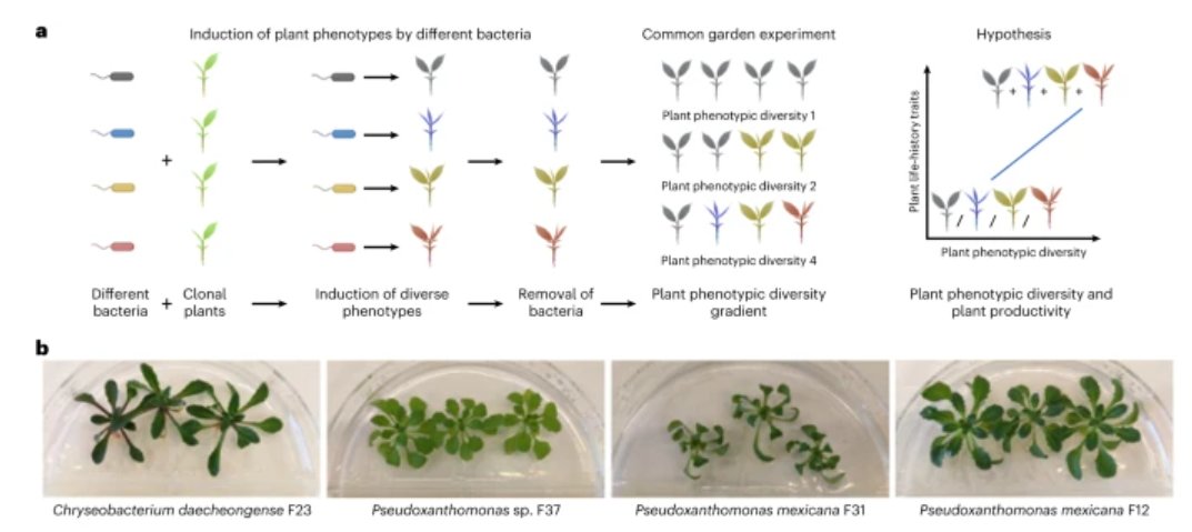 NatureEcoEvo tweet media