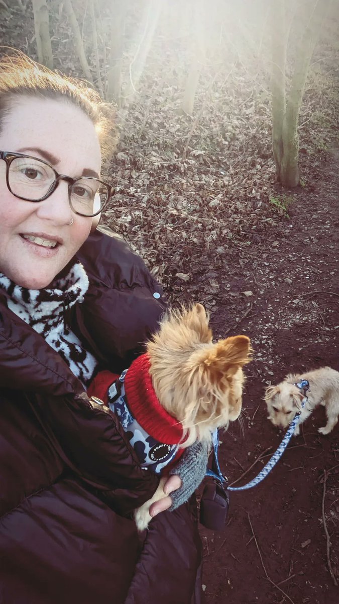 Kerryjackson33's tweet photo. Nice dog walk ❤️ bitter cold but fresh!! Teddy didn't really get the memo about walking 🙄 https://t.co/28nuxSbcCm