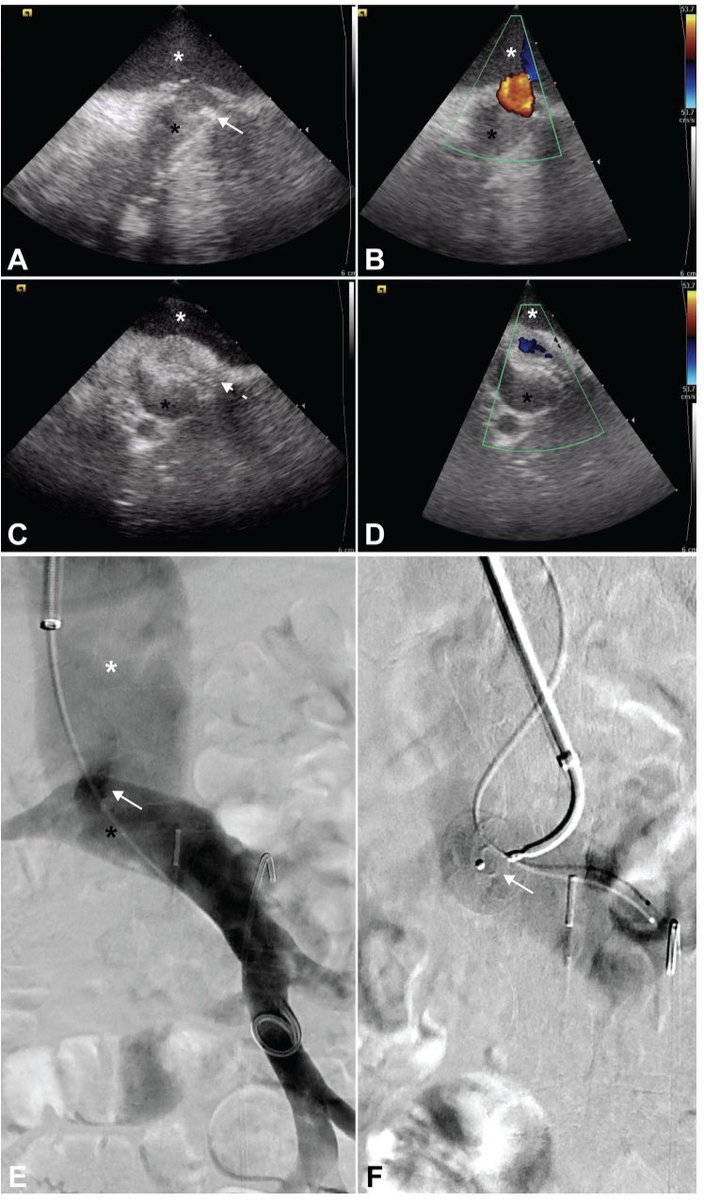 David Léon MD tweet media