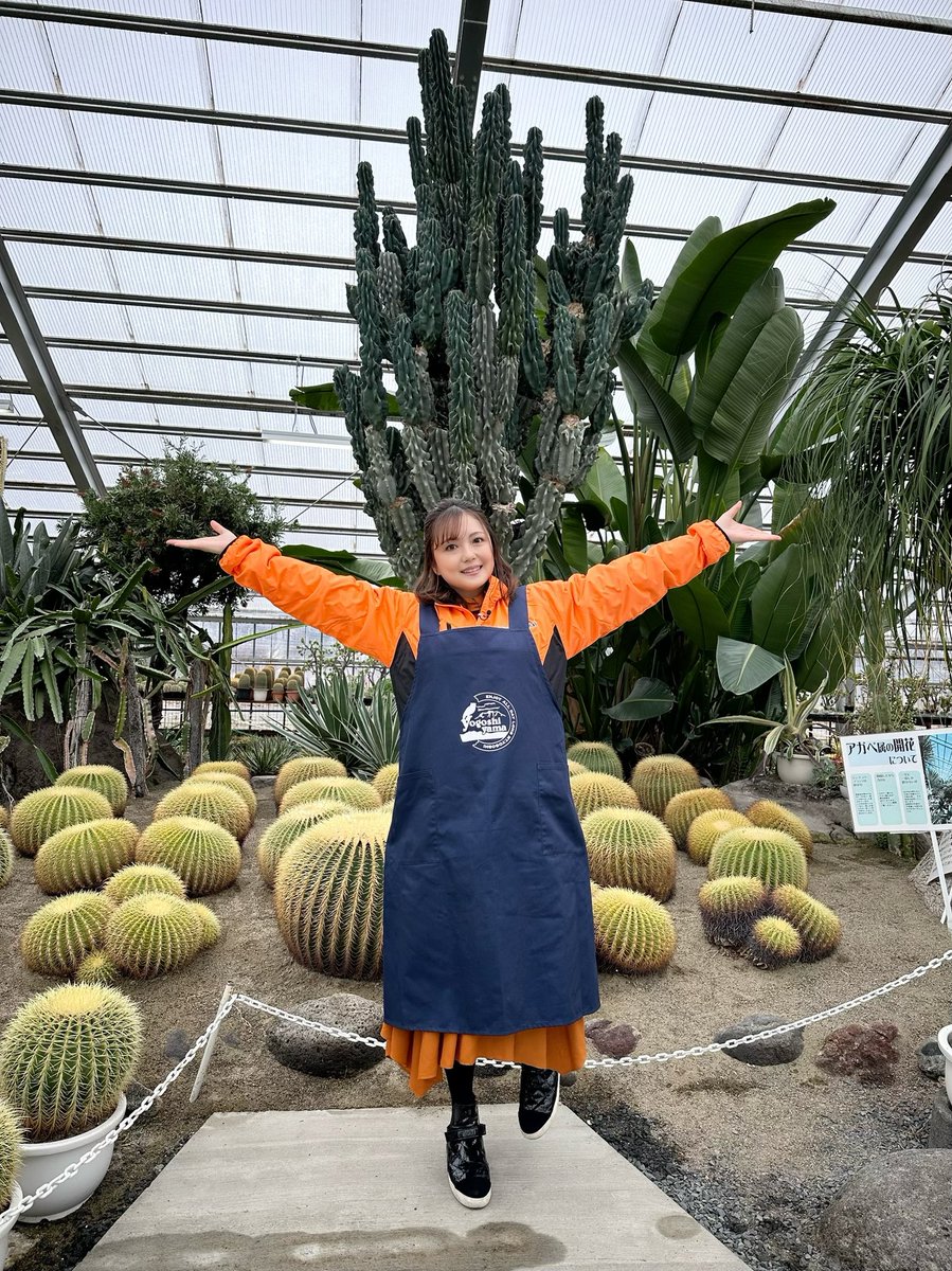 三上枝織 tweet media