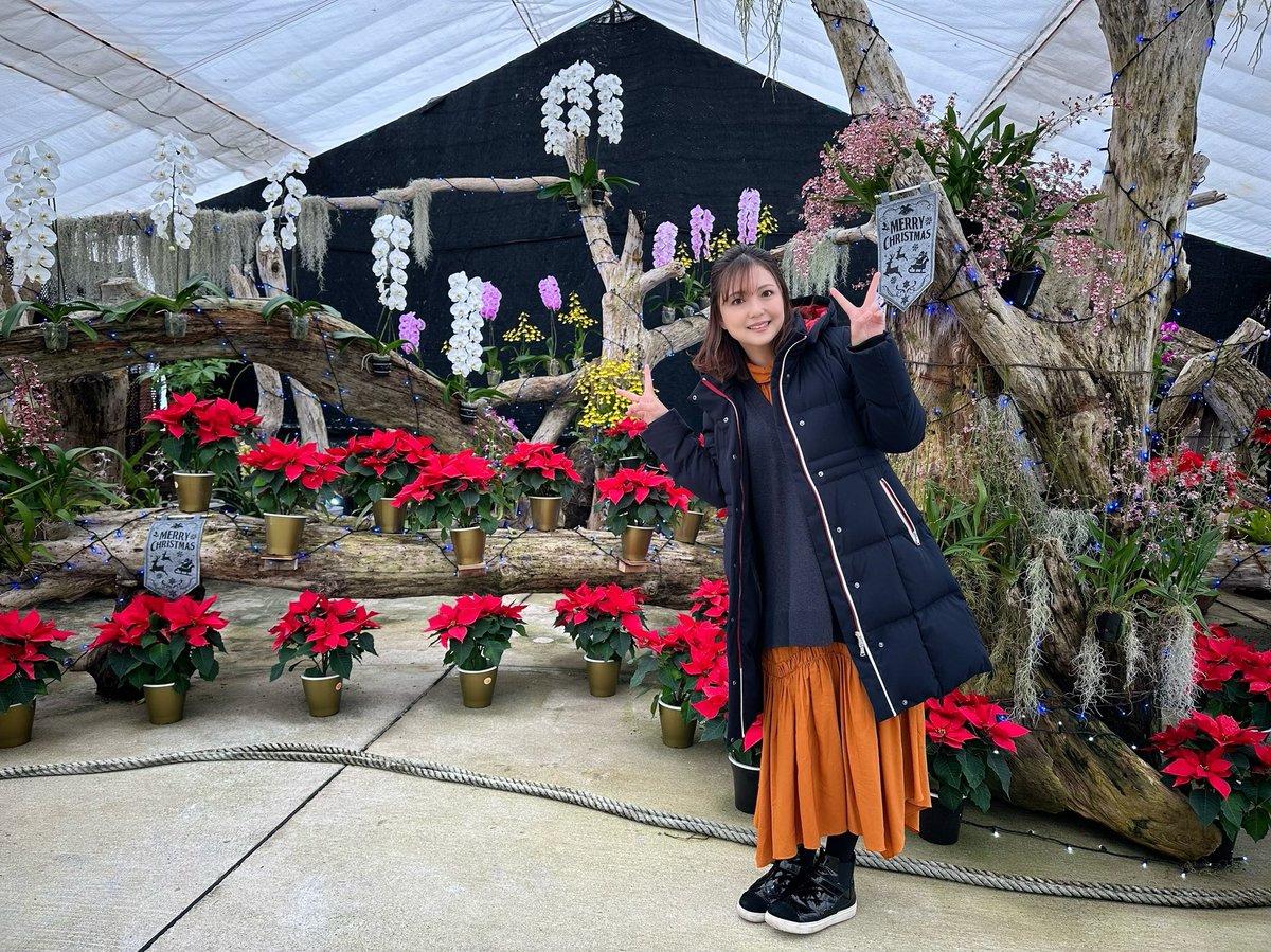 2024年も「初耳@ AOMORI」をよろしくお願いいたします🫡✨️
今回は「青森県にまつわるランキング」について調査しました！
詳しくは、1月14日(日)17時からRAB青森放送で📺