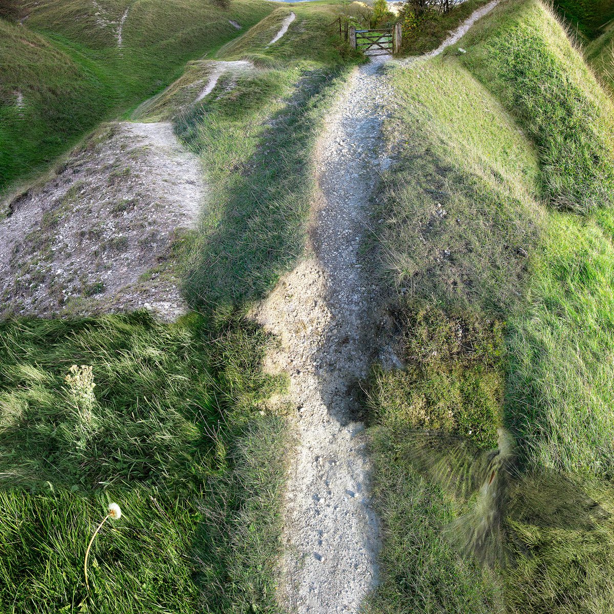 allangrainger's tweet photo. Chalk Paths, Ditchling, a picture 3x3 feet, is from a new project that will be an addition to my Downland Portfolio currently made up of works from Downland Gloaming and Downland Impressions. The visual poetry of Eric Ravilious’s ‘Chalk Paths’ has been a source of inspiration... https://t.co/LyjOoHMMze
