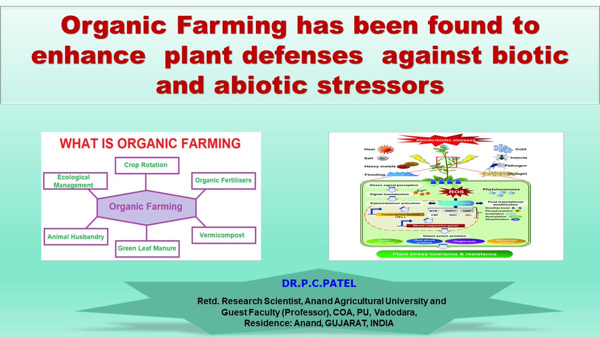 Organic Farming enhances plant defenses against biotic and abiotic stressors. P. C. Patel
My YouTube: youtu.be/x-nMLPSUGGg