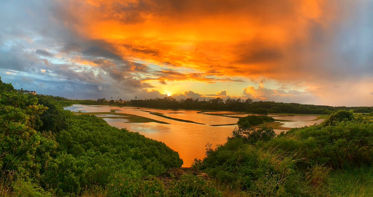 Inclement Payne tweet media