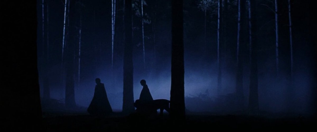 cinesthetic. tweet media