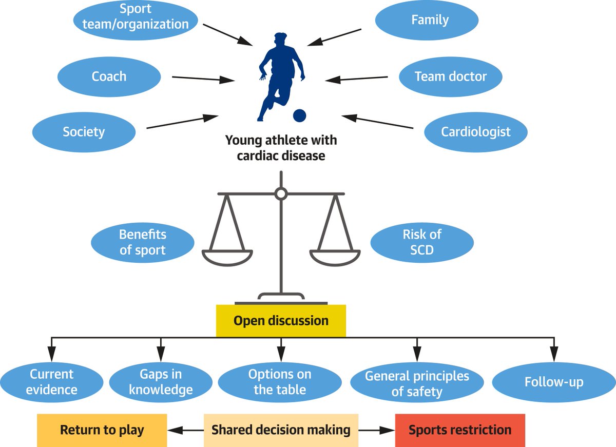📌Sudden Cardiac Death in Young Athletes

@JACCjournals #StateOfTheArt #Review #SCD #SportsCardiology