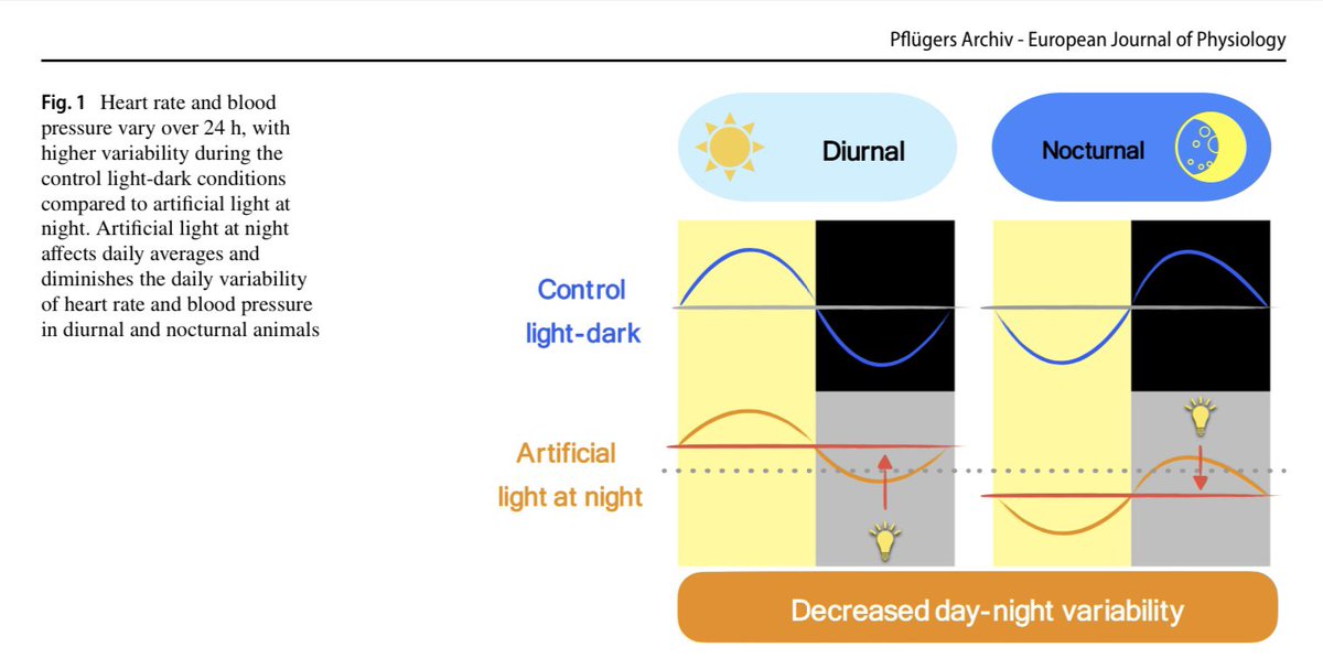 Andrew Flatt tweet media