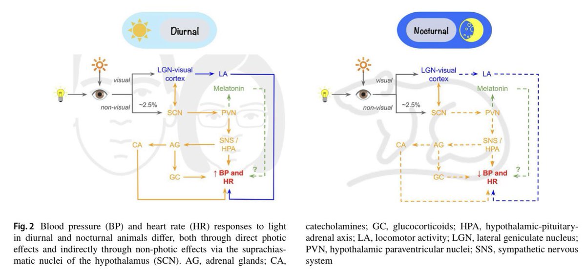 Andrew Flatt tweet media
