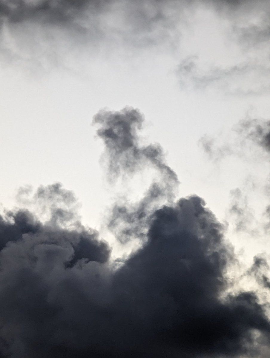 gazeaton61's tweet photo. Two dog clouds from the other. Taken the same day the first photo looks like Yorkshire Terrier. 2nd looks like a Poodle stood up on its hind legs funniest thing it seems to be looking at a puppy poodle 😂🤣#myphotos #dogclouds https://t.co/rlnaUBzJvy