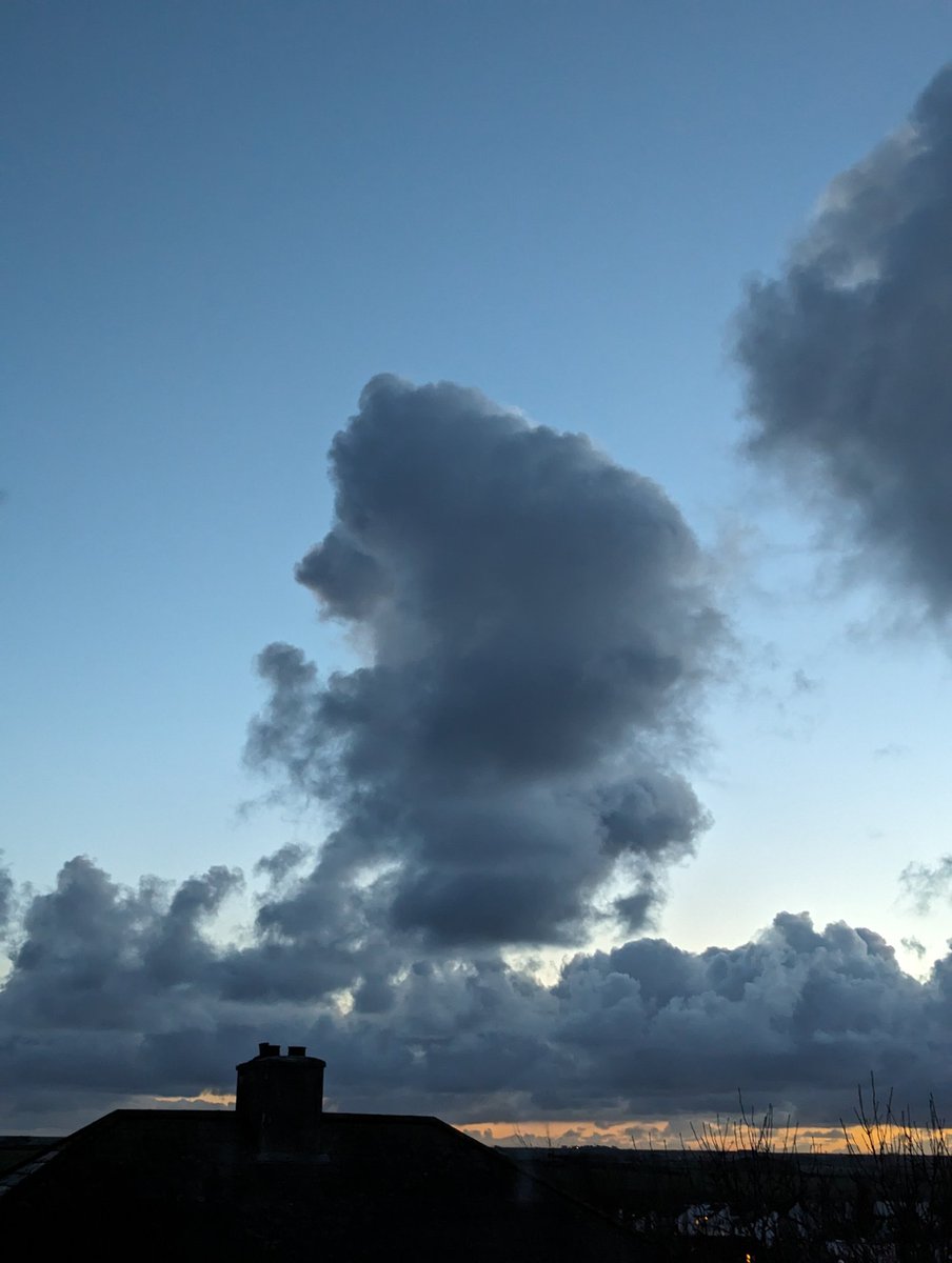 gazeaton61's tweet photo. Two dog clouds from the other. Taken the same day the first photo looks like Yorkshire Terrier. 2nd looks like a Poodle stood up on its hind legs funniest thing it seems to be looking at a puppy poodle 😂🤣#myphotos #dogclouds https://t.co/rlnaUBzJvy