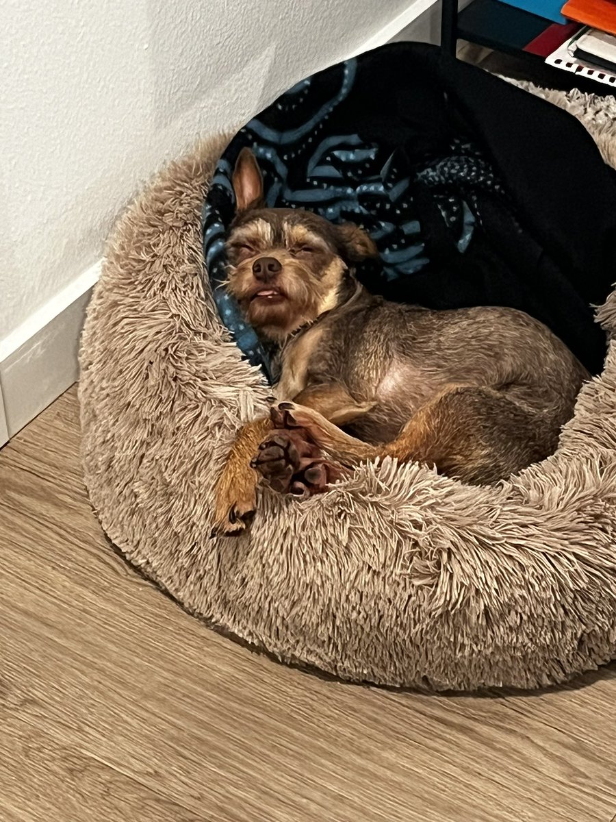 TamarJaelsDiary's tweet photo. He is outttttt 😂😂😂 https://t.co/aNHtUTp4HG