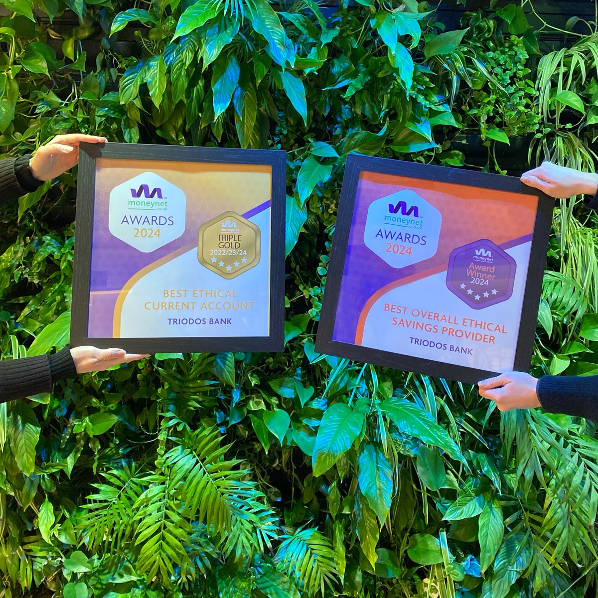 Great news to kick off 2024🏆🏆 We're very proud to have won @Moneynetcouk's 'Overall Ethical Savings Provider’ and also the ‘Best Ethical Current Account’. Learn more about our award-winning products and services here 👇 triodos.co.uk/individual