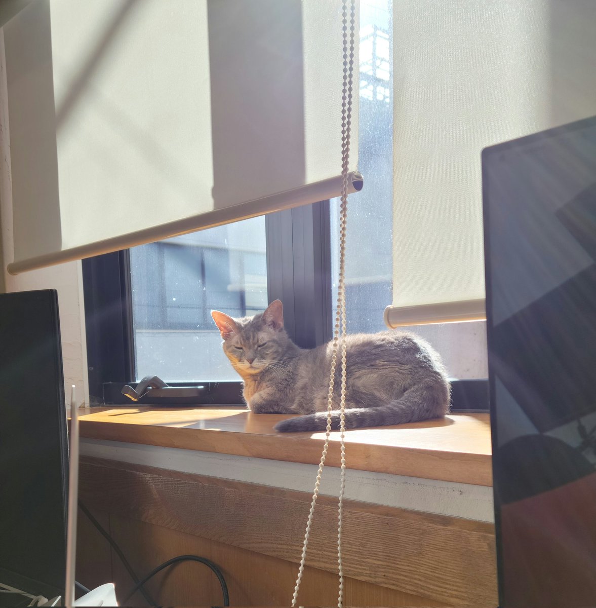 min__dp's tweet photo. 2024初出社
ついにコードを書くタスクに初アサインされた！わーい🤸
プロジェクトのコードをまだまだ全然理解できてないから先輩におんぶに抱っこになっちゃうけど…はじめの一歩！🦵 https://t.co/A6AsZSEaOF