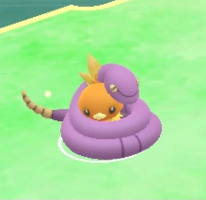 OoCPokemon's tweet photo. dinner time https://t.co/PFvOa9hIfQ