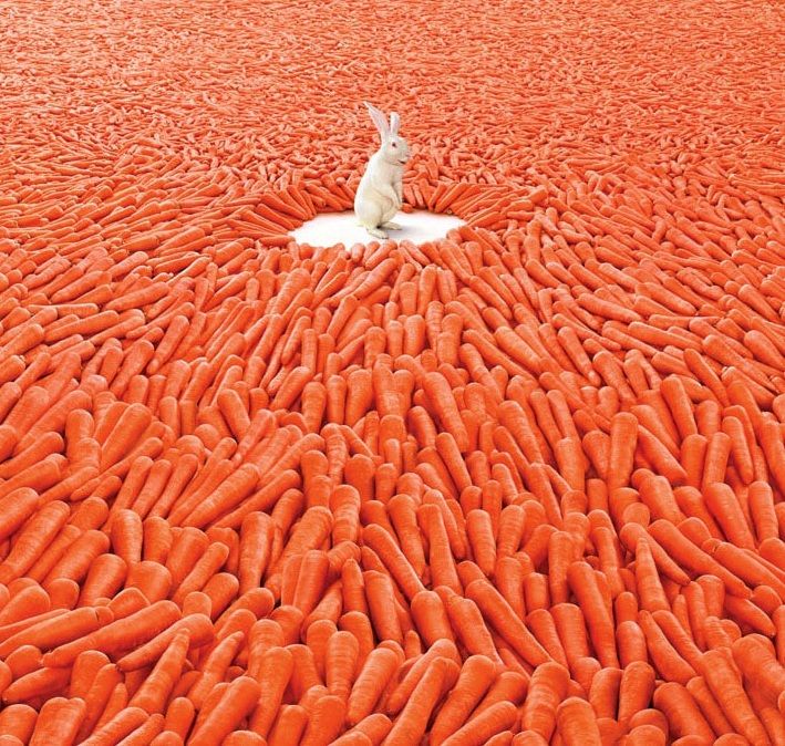lifelaunchmiles's tweet photo. How to Develop an Abundance Mindset

🧵Thread🧵 https://t.co/2ECzjaXmZK
