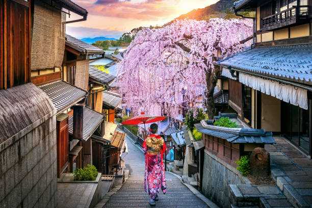 ThemeTourTeller's tweet photo. Nog 259 dagen tot de ThemeTour naar Japan! #ThemeTalk #Florivida https://t.co/MWy1Y140Y4
