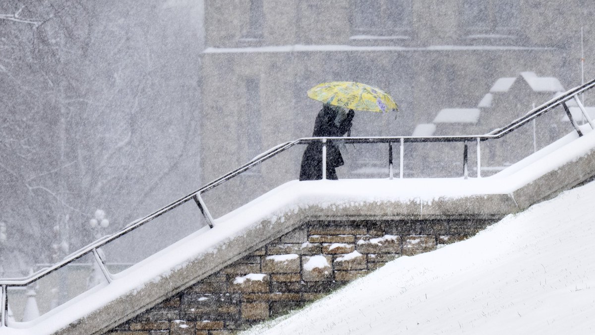 The Greater Toronto Area is expecting a winter storm Tuesday, with a mix of messy weather expected. Follow along here for all the latest details on the storm. toronto.ctvnews.ca/toronto-area-b…