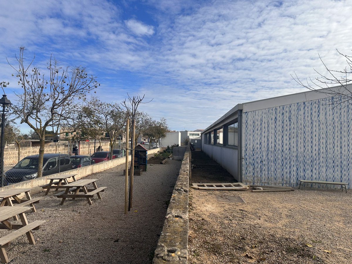 🏫🌳L'Escola Pare Bartomeu Pou ja té nous arbres per a ombra, gràcies al projecte dels #PressupostosParticipatius 

👉Amb un pressupost de 11.280€ (IVA exclòs), aquest projecte és una realitat gràcies a la col·laboració i elecció de la nostra comunitat🤝❤️