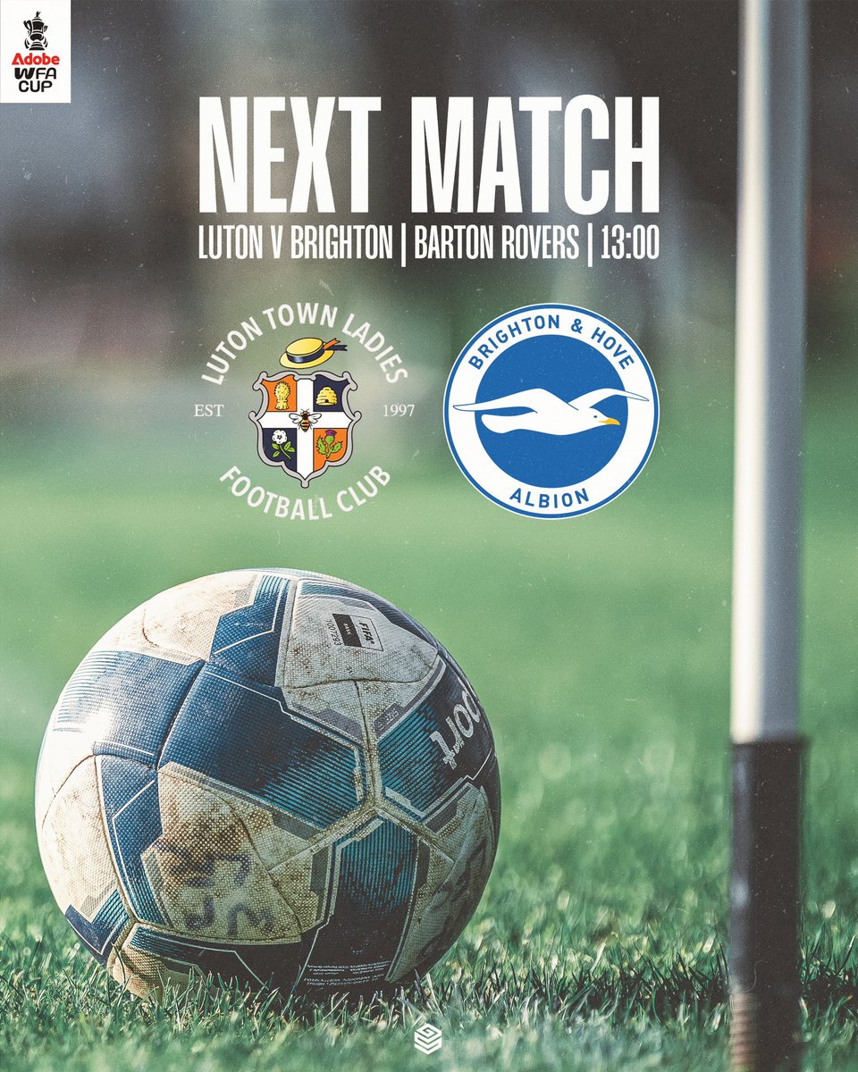 Luton Town Ladies Football Club tweet media