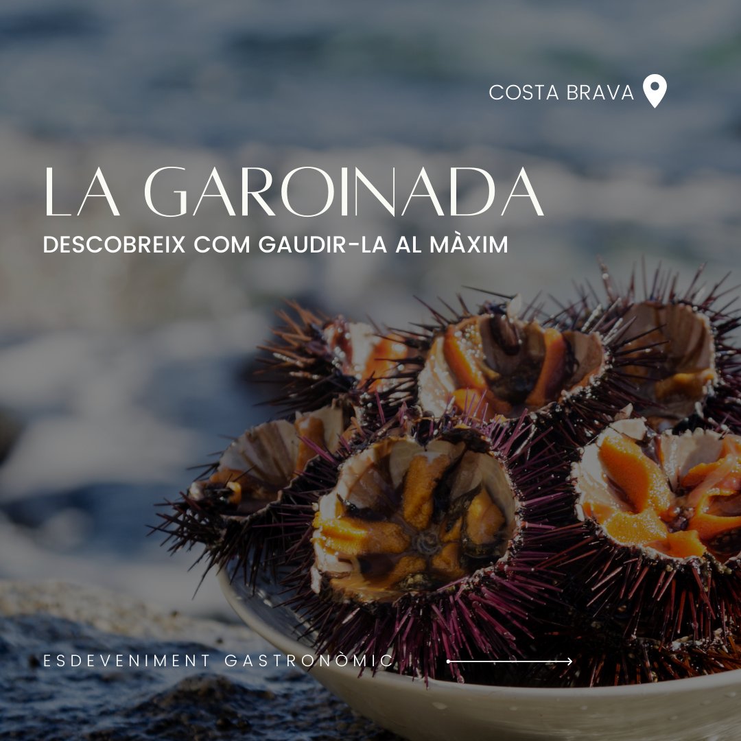 PetitGranHotels's tweet photo. El 19 de gener torna la Garoinada 🌊! Gaudeix-la de la mà de Costa Brava Hotels amb les nostres OFERTES exclusives, llisca per a descobrir-les! Més informació a https://t.co/pE8TZID1IT https://t.co/TPGMmNJTbE