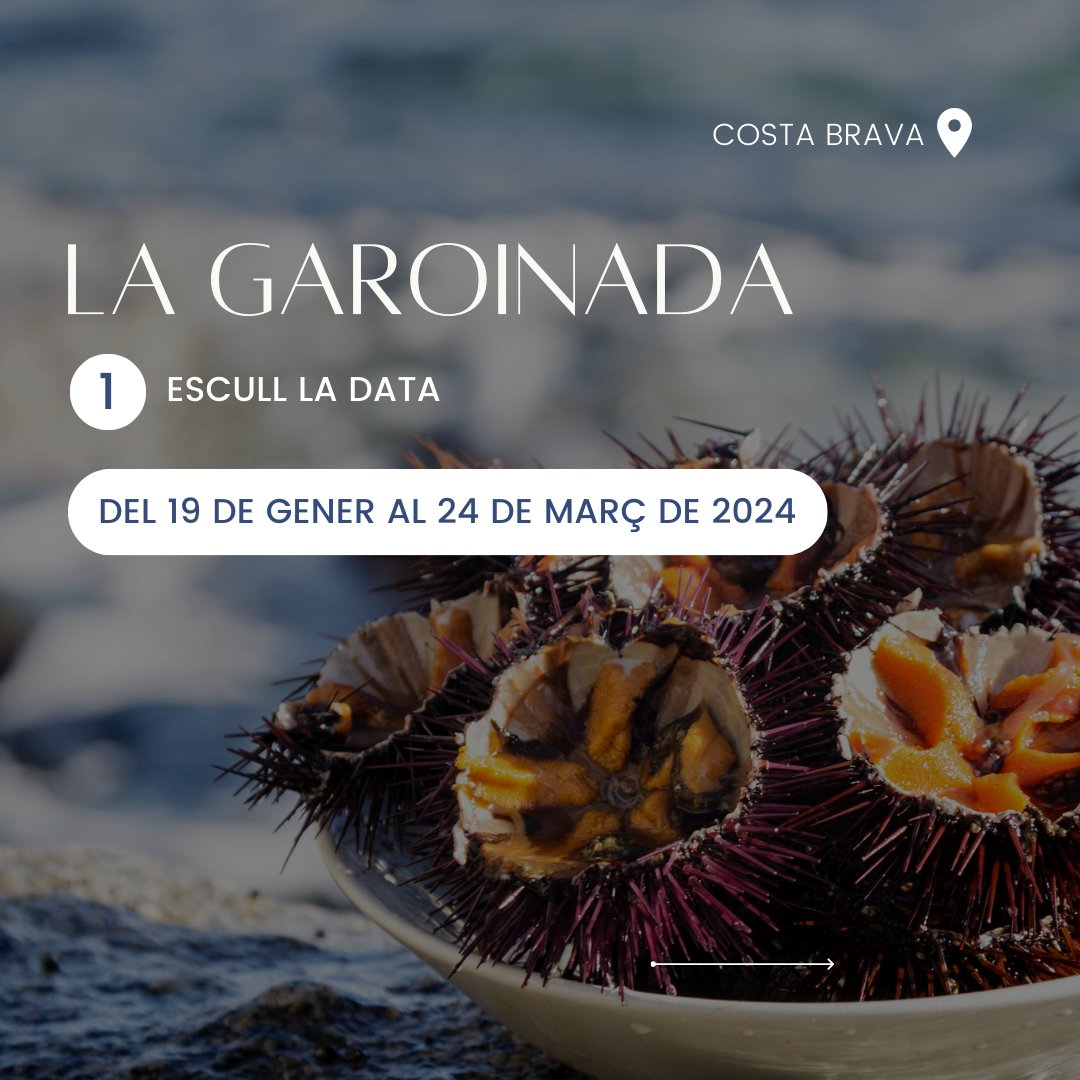 PetitGranHotels's tweet photo. El 19 de gener torna la Garoinada 🌊! Gaudeix-la de la mà de Costa Brava Hotels amb les nostres OFERTES exclusives, llisca per a descobrir-les! Més informació a https://t.co/pE8TZID1IT https://t.co/TPGMmNJTbE
