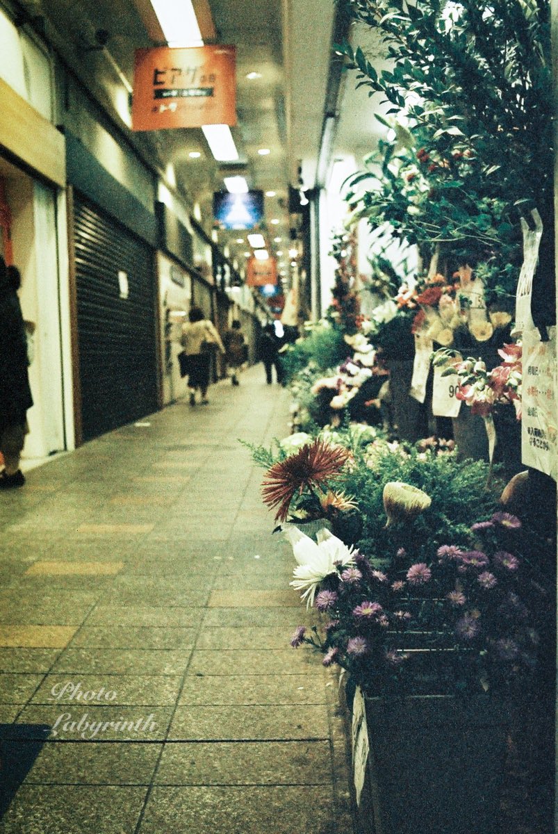 PhotoLabyrinth's tweet photo. 夜のフラワー
#フィルム写真
#lomochromemetropolis
#lomography
#pentaxspf
#supertakumar https://t.co/pnbrGO9PTe