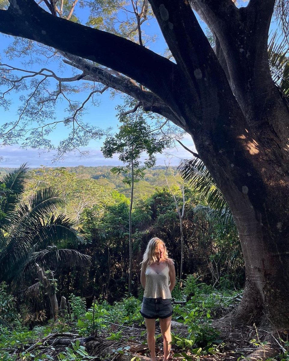 elliegoulding's tweet photo. Pura Vida 🇨🇷 🇨🇷 https://t.co/vz0rXqUKcD