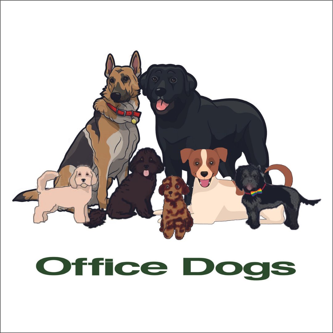 🐾 Introducing the Office Dogs of Molygran 🐾 
(For now! It's an ever-increasing number!)  
Keep an eye out over the next few weeks as we introduce our key employees (and their owners!) 
#OfficeDogs #WorkingDogs #DoggyDayCare