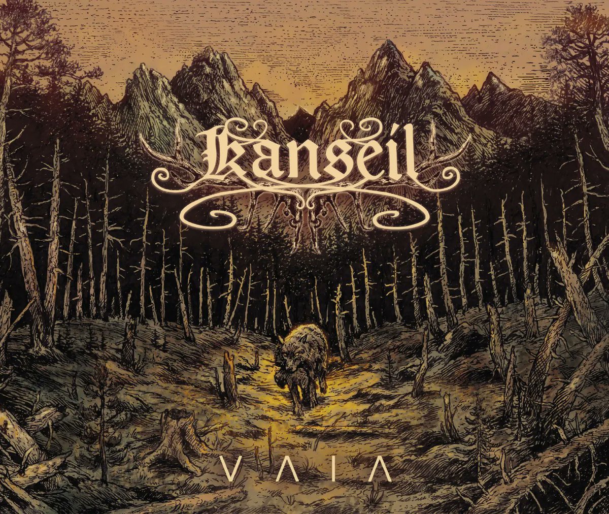 Kanseil_Official tweet media