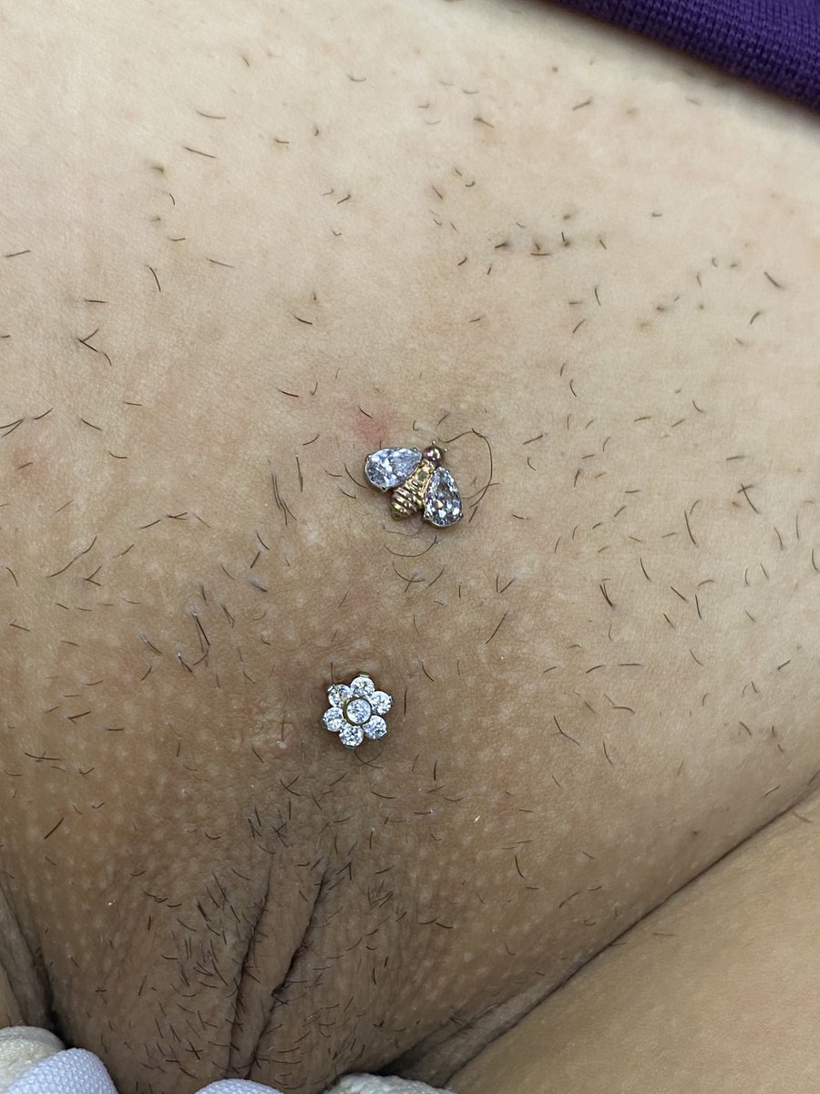 ABpiercer's tweet photo. •Começando 2024 deixando ppk brilhuda e meiga 🫶🏽
•Perfuração já cicatrizada a anos, apenas atualizamos os topinhos ;)
#piercinggenital #ppk
#piercingintimo #piercingrj https://t.co/b3JulGtdMG